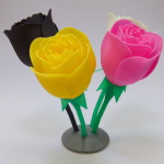 Ukázka vytisknutého 3D modelu - Růže